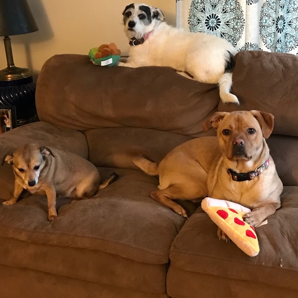 Meet your Posher, Kayla - Picture 6 of 8